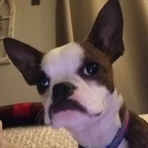 Meet your Posher, Robin